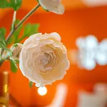 Apartman Aperol Spritz Róma