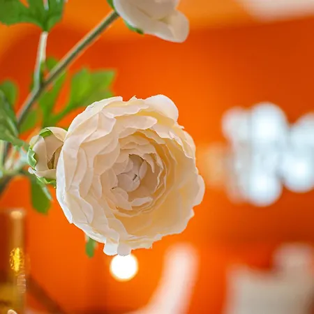 شقة Aperol Spritz روما