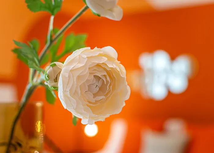 Апартаменты Aperol Spritz Рим